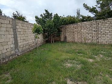 ferma satılır 2025: 5 sot, Kənd təsərrüfatı, Mülkiyyətçi, Kupça (Çıxarış) — 8