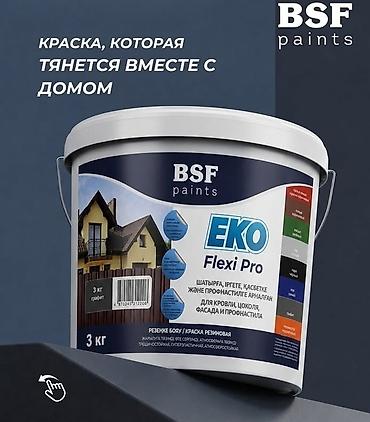 Краска резиновая для крыш и фасадов BSF paints EKO Flexi Pro