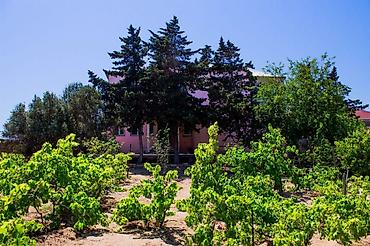 nerimanov heykeli unvan: Dəniz mənzərəli həyət evi avqust ayina kirayə verilir - Geniş — 3