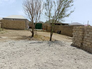 Torpaq sahələrinin satışı: 8 sot, Tikinti, Mülkiyyətçi, Kupça (Çıxarış) — 12