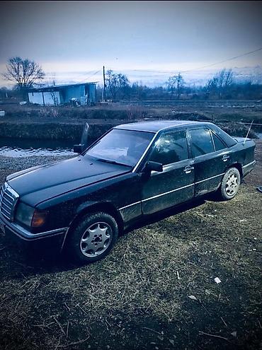 s420 1992: Mercedes-Benz E-Class: 1992 г., 2.6 л, Механика, Бензин, Седан — 1