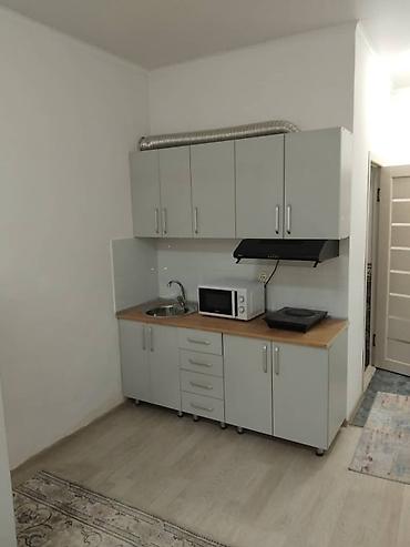 Продажа квартир: 1 комната, 30 м², Индивидуалка, 1 этаж, Евроремонт at lalafo.kg — 7 Продажа квартир: 1 комната, 30 м², Индивидуалка, 1 этаж, Евроремонт — 7