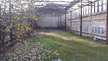 kiraye yolu ile satilan evler: 4 otaqlı, 196 kv. m — 7