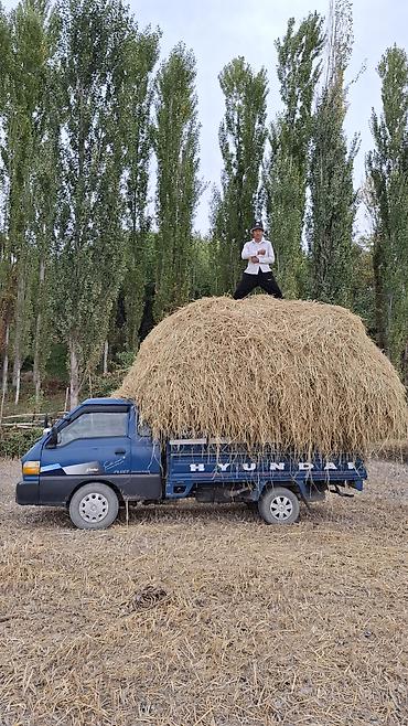 Потер 1 сатылат 2.6 куб тех.абалы орто 2002 г.в портер 2 болсо алмашам — 7