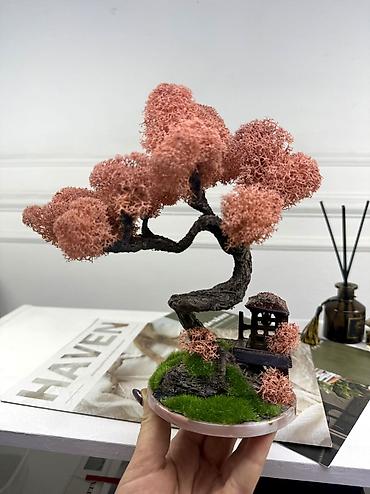 Декоративные цветы: Мини-дерево Бонсай из живого стабилизированного мха 🌿 ✅Цены указаны — 35