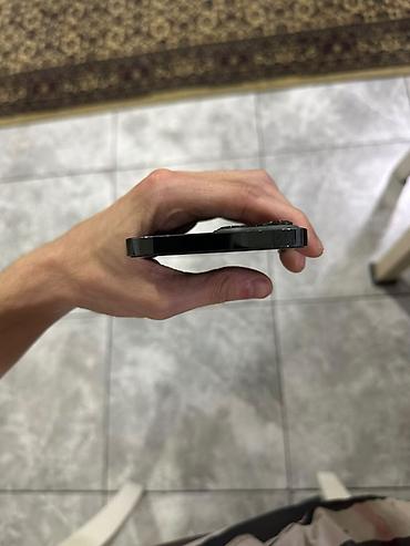 Apple iPhone: IPhone 13 Pro Max, 256 GB — 16