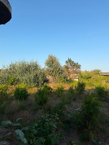 şabran torpaq: 7 sot, Kənd təsərrüfatı, Kupça (Çıxarış) — 3