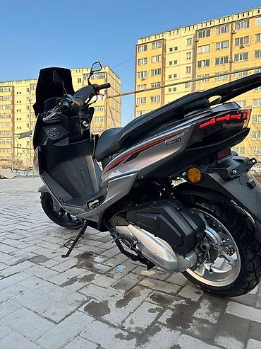 Скутеры: Тип скутера 150 куб. см, Бензин, Б/у — 5