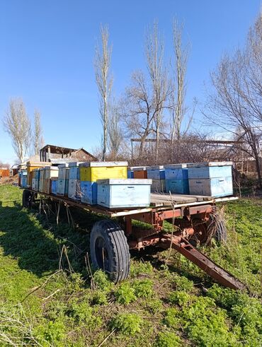 Прицепы и полуприцепы: Прицеп, Б/у at lalafo.kg Прицепы и полуприцепы: Прицеп, Б/у