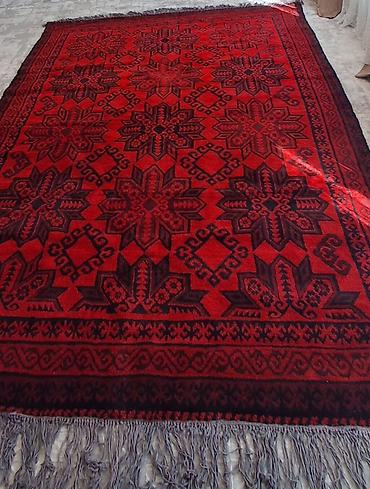 Ковры и паласы: Ковер Новый, 300 * 250, Шерсть, Сделано в Кыргызстане, Безналичная/наличная оплата — 1