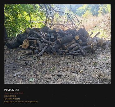 Дрова: Дрова Самовывоз — 5