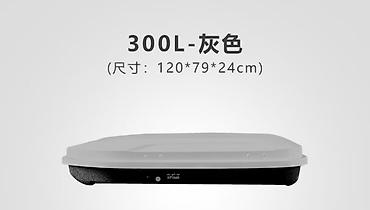 surf 130: Автобокс на крышу. 300л 120х79х24. Белый. Идеально подойдет для — 3