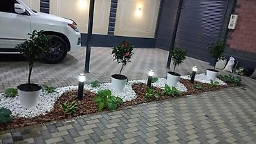 Бактарды кыюу, отундарды даярдоо: Компания Green Scape предлагает широкий спектр услуг по — 4