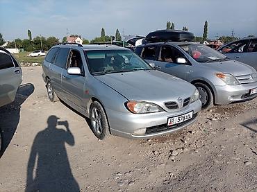 210 миллениум: Nissan Primera: 2001 г., 0.2 л, Механика, Бензин, Универсал — 1