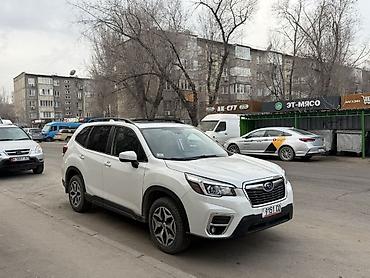 Subaru: Subaru Forester: 2019 г., 2.5 л, Вариатор, Бензин, Кроссовер — 8