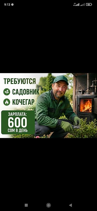 нужен кафельщик: Вакансии: садовник и кочегар. Садовник: - Уход за зелеными — 1