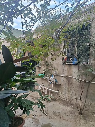 sut satisi: Bakı, Xocəsən, 2 kv. m, 3 otaqlı, İnternet, Telefon, Qaz — 1