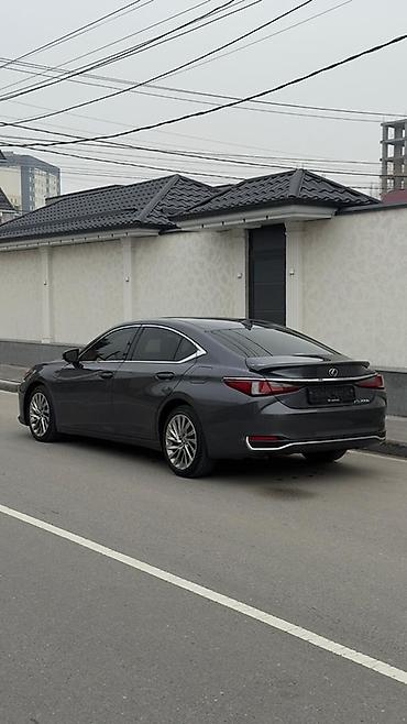 Lexus: Lexus ES: 2023 г., 2.5 л, Вариатор, Гибрид, Седан — 8
