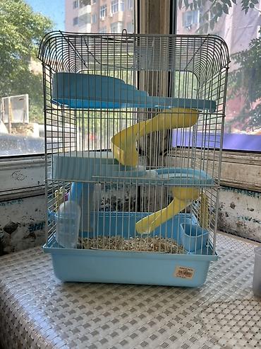 Зоотовары: Hamster və balaca gəmiricilər üçün qəfəs - Rəng: açıq mavi plastik — 2