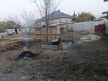 Продажа коттеджей и домов: Продаётся частный дом с большим двором и хозяйственными постройками at lalafo.kg — 6 Продажа коттеджей и домов: Продаётся частный дом с большим двором и хозяйственными постройками — 6