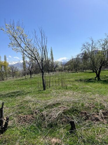 Продажа участков: 10 соток, Для строительства, Красная книга at lalafo.kg — 3 Продажа участков: 10 соток, Для строительства, Красная книга — 3