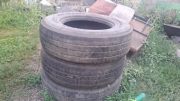 Шины: 22,5 295,80 — 8