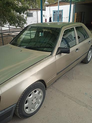 w124 дерево: Mercedes-Benz W124: 1987 г., Механика, Седан — 3