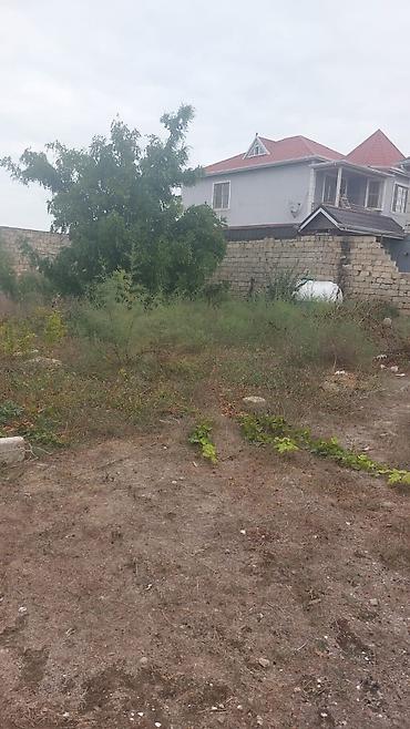 ramana sovxoz: 2 sot, Tikinti, Mülkiyyətçi, Kupça (Çıxarış) — 1