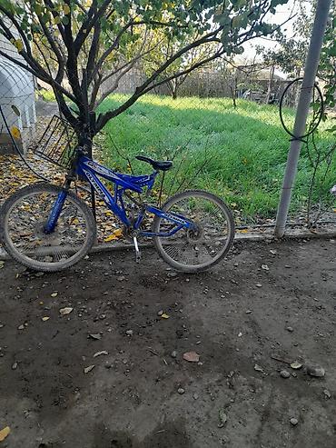 SİM-kartlar: Nömrə: ( 051 ) ( 9178236 ) — 11