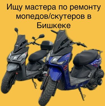 Другие специальности: Ищу мастера по ремонту мопедов/скутеров в Бишкеке Нужен опытный