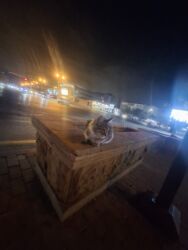 вакансии в отелях баку: Iş axtariram oğlanam bakida qalıram. təmizlik koməkçi isi olan yazsin