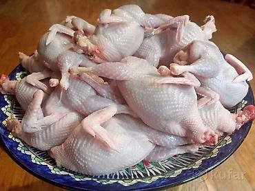куры бишкек: Продаю мясо перепелов замороженные — 1