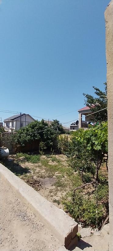 masazırda torpaq: Kupça (Çıxarış) — 5