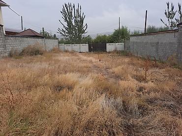 Жер тилкелерин сатуу: 500 соток, Курулуш — 2