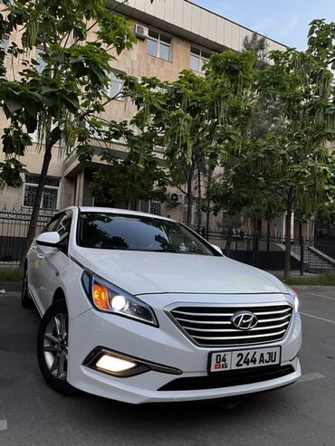 купить машину хендай солярис: Hyundai Sonata: 2016 г., 2 л, Автоматтык, Газ, Седан