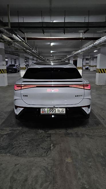 вас 07: BYD Sea Lion 07: 2024 г., Фастбек — 4