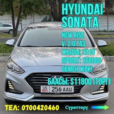 макс круз: Hyundai Sonata: 2018 г., 2 л, Автомат, Газ, Седан