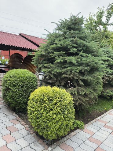 Продажа домов: Дом, 248 м², 15 комнат, Собственник — 24