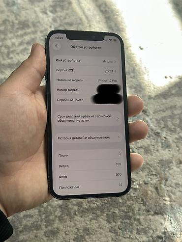 Apple iPhone: IPhone 12 Pro, Б/у, 128 ГБ, Blue Titanium, Чехол, Кабель, 79 % — 9