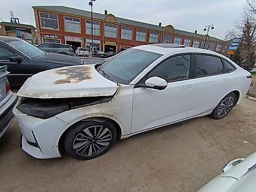 Tesla: Tesla : 1.5 l | 2024 il Sedan — 3