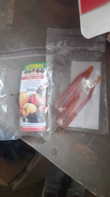 Kakabit: Bitkilər üçün SKOR və TİP-250 kimi müalicəvi preparatlar. Bağınızda və — 6