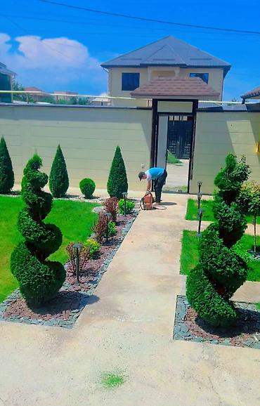 mertsan: Услуги по озеленению и ландшафтному дизайну “Garden Bishkek KG” — 2