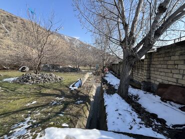 Torpaq sahələrinin satışı: 12 sot, Kənd təsərrüfatı, Mülkiyyətçi, Kupça (Çıxarış) — 14