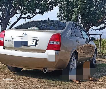 ai box: Nissan Primera: 2002 г., 2 л, Вариатор, Бензин, Седан — 2