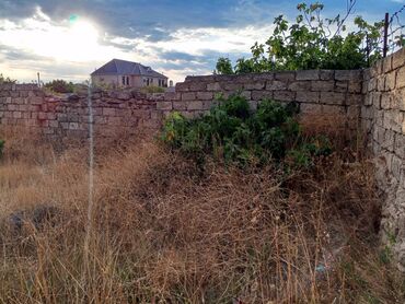 Torpaq sahələrinin satışı: 9 sot, Tikinti, Mülkiyyətçi, Kupça (Çıxarış) -da lalafo.az — 12 Torpaq sahələrinin satışı: 9 sot, Tikinti, Mülkiyyətçi, Kupça (Çıxarış) — 12