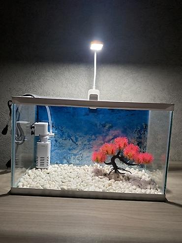 Akvariumlar: Hazır 12 Litr akvarium seti. İşlənməyib yenidir. Başqa yeni digər — 9