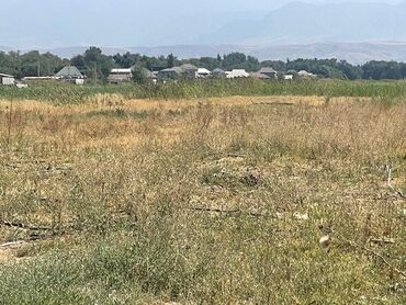 продажа дом маевка: Айыл чарба үчүн