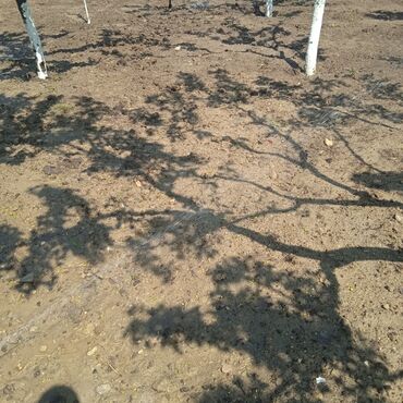 Suvarma sistemləri: Suvarma sistemlərinin ağıllı sistemlə wifi və ya avtomatik idarəetmə — 8