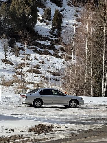 Nissan: Nissan Cefiro: 1998 г., 2 л, Автомат, Бензин, Седан at lalafo.kg — 6 Nissan: Nissan Cefiro: 1998 г., 2 л, Автомат, Бензин, Седан — 6