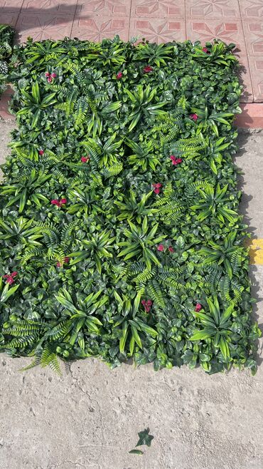 Linoleum: Qi̇ymətlər 10 azn başlayir depodan bir başa satiş suni̇ qazonlar — 32